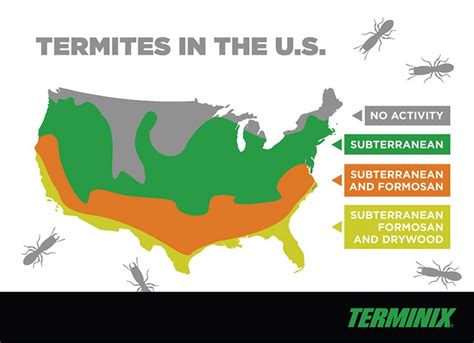 eastern subterranean termites us map